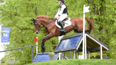 What are the three phases of eventing, and what does each entail?