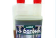 Canna Rhizotonic for Thriving Plants