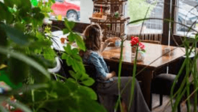 SELECTING ECO-FRIENDLY RESTAURANT FURNITURE