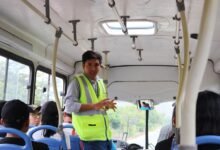 anamedeiro99 s transformative journey