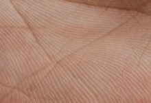 uncovering distinctive narratives together