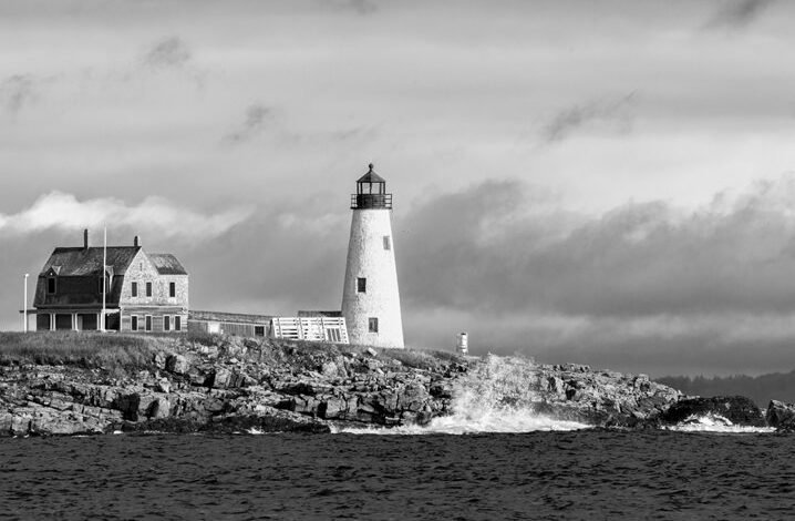 nightshade paralysis overview guide