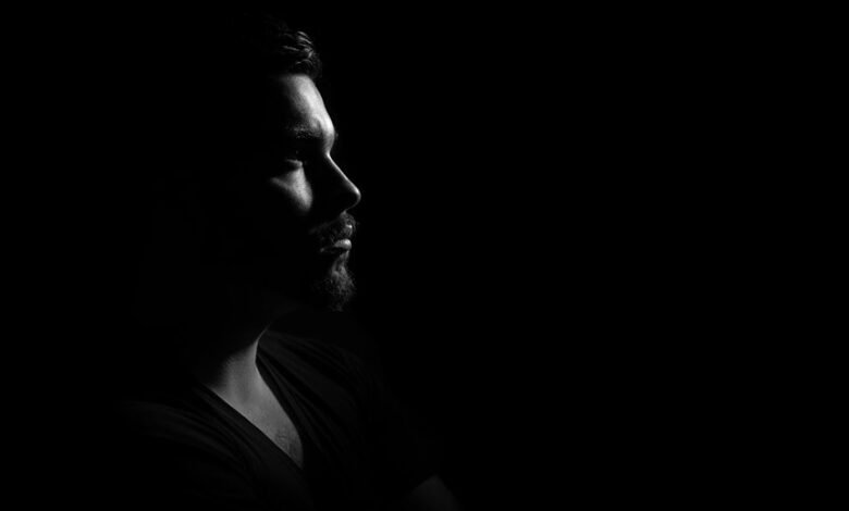 olivomundo profile features overview