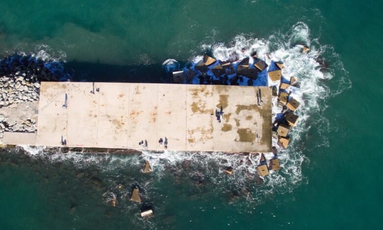 power bet 247 insights