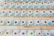 qualia collection services overview