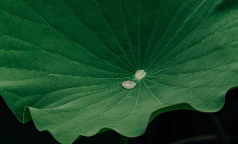 retention engagement growth signal