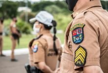 search authority for rankings