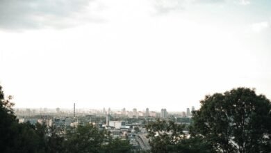 digital growth opportunity ahead